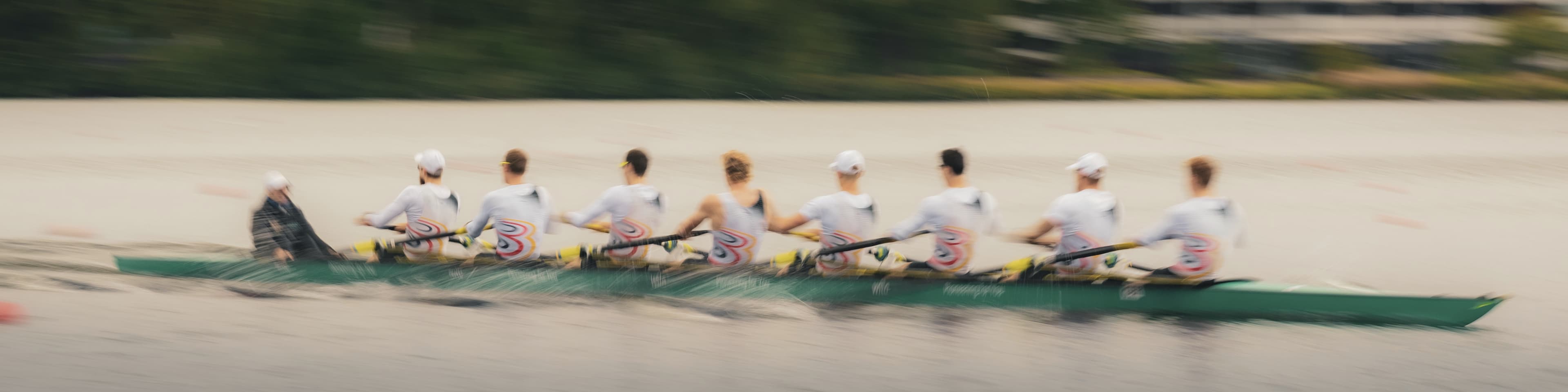 Theis Hagemeister Header